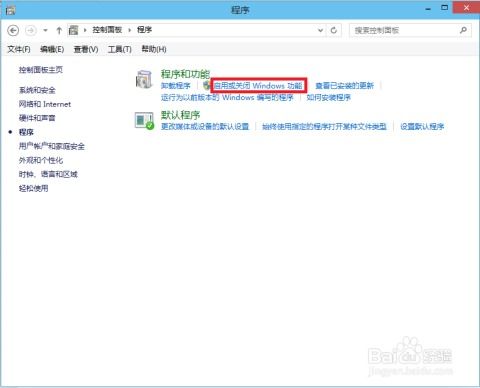 Windows 10 上安装IIS（互联网信息服务）的详细指南
